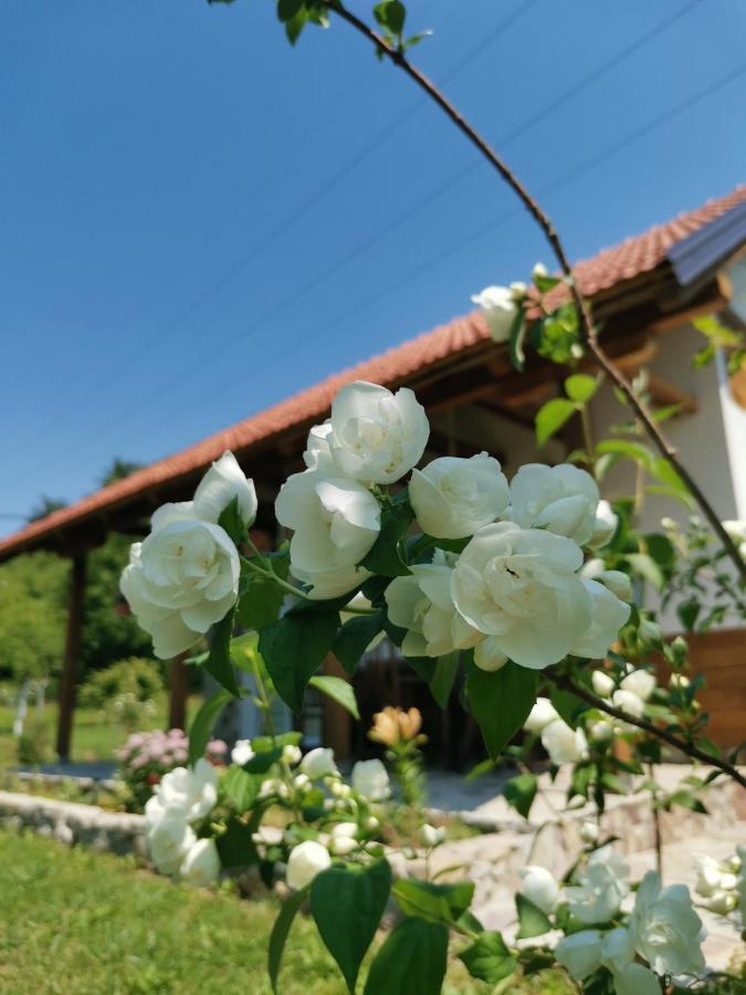 Bihać Nektar Park Villa Sara מראה חיצוני תמונה