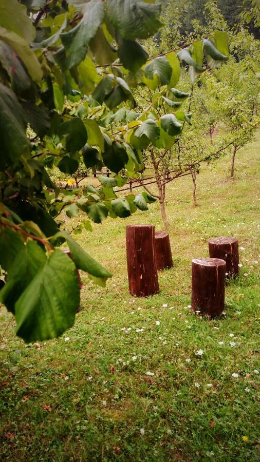 Bihać Nektar Park Villa Sara מראה חיצוני תמונה