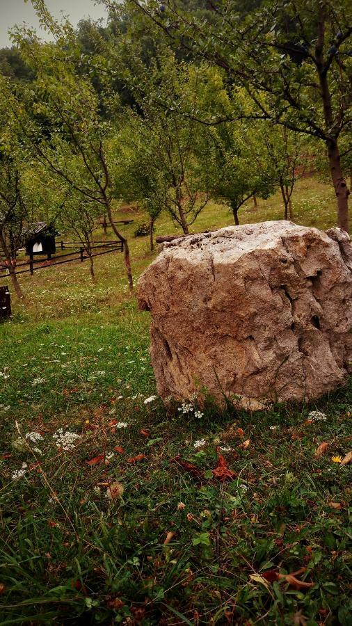 Bihać Nektar Park Villa Sara מראה חיצוני תמונה